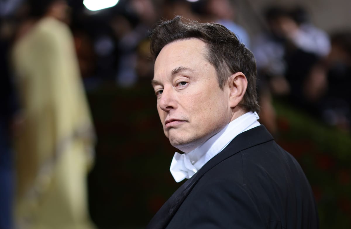 Elon Musk's AfD Kingmaking is Distributed Dictatorship in Action